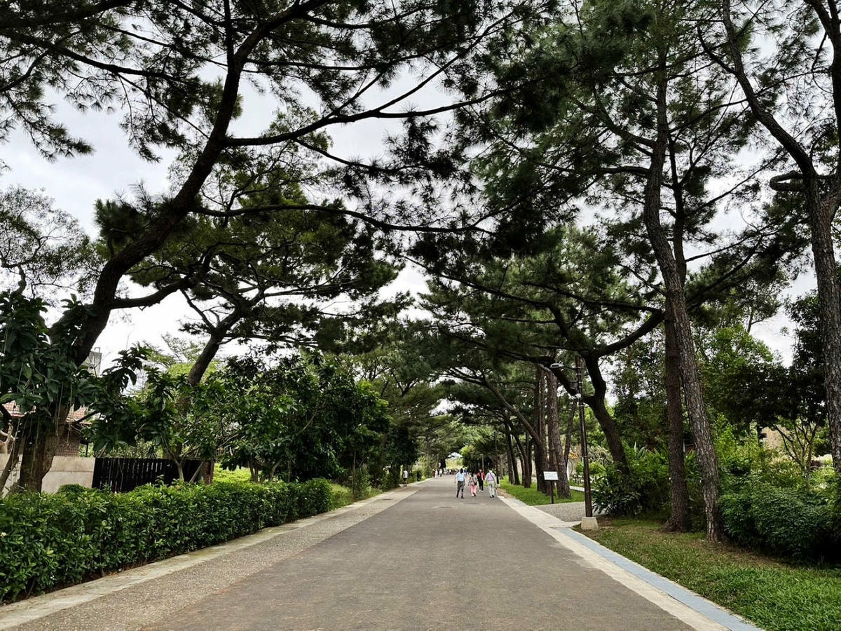 【新開幕】八德寵物友善餐廳推薦!三十好食,大湳森林公園附近, 【新開幕】八德寵物友善餐廳推薦!三十好食,大湳森林公園附近,