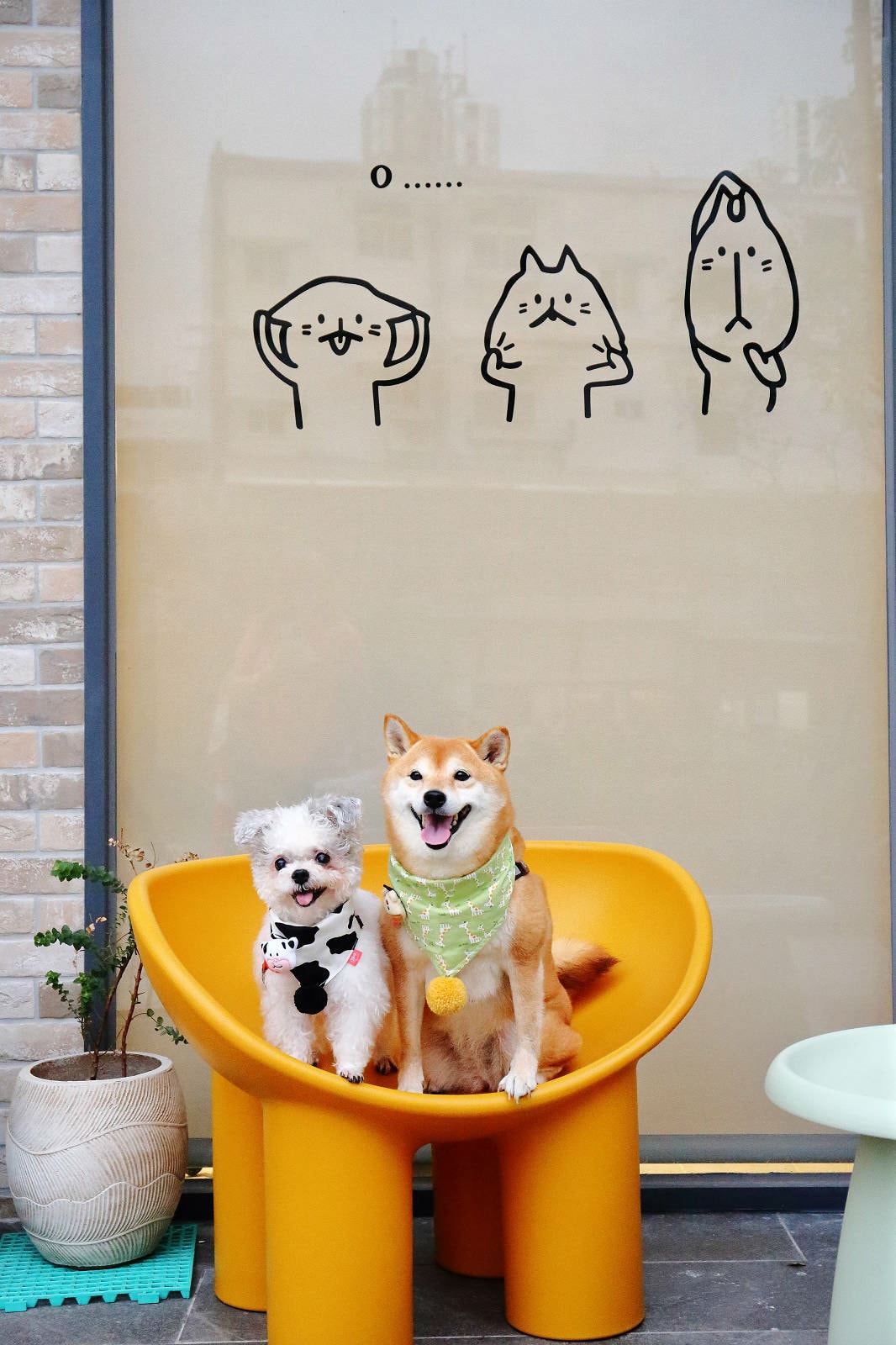 【新開幕】八德寵物友善餐廳推薦!三十好食,大湳森林公園附近, 【新開幕】八德寵物友善餐廳推薦!三十好食,大湳森林公園附近,