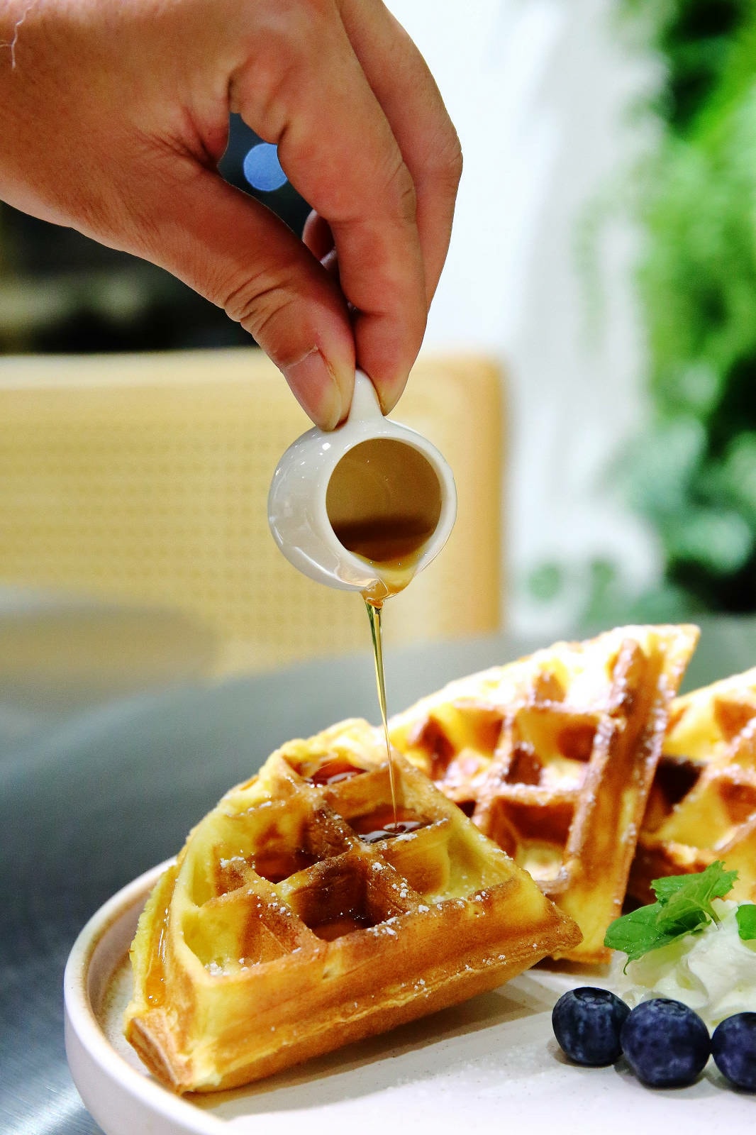 【新開幕】八德寵物友善餐廳推薦!三十好食,大湳森林公園附近, 【新開幕】八德寵物友善餐廳推薦!三十好食,大湳森林公園附近,