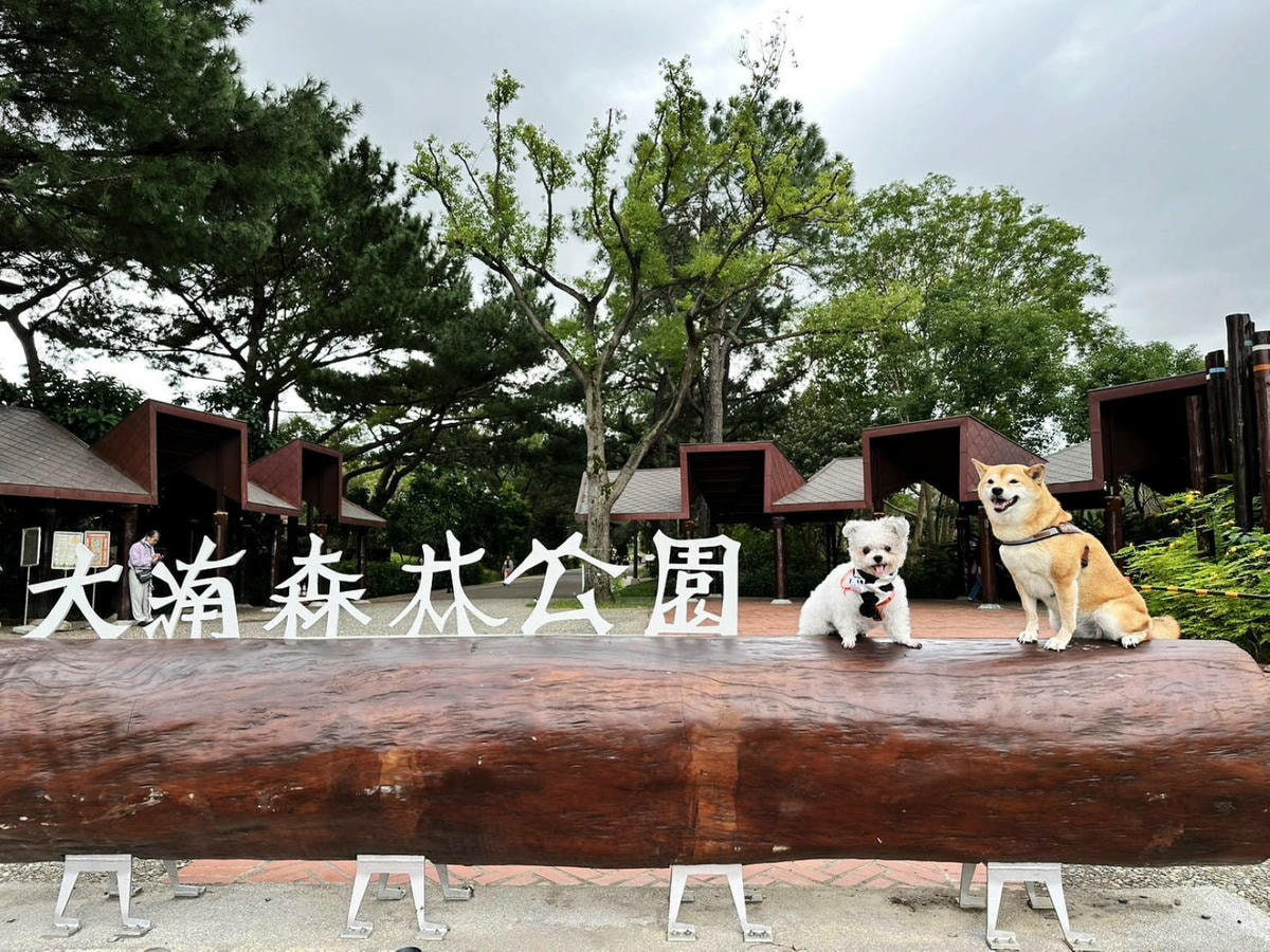 【新開幕】八德寵物友善餐廳推薦!三十好食,大湳森林公園附近, 【新開幕】八德寵物友善餐廳推薦!三十好食,大湳森林公園附近,