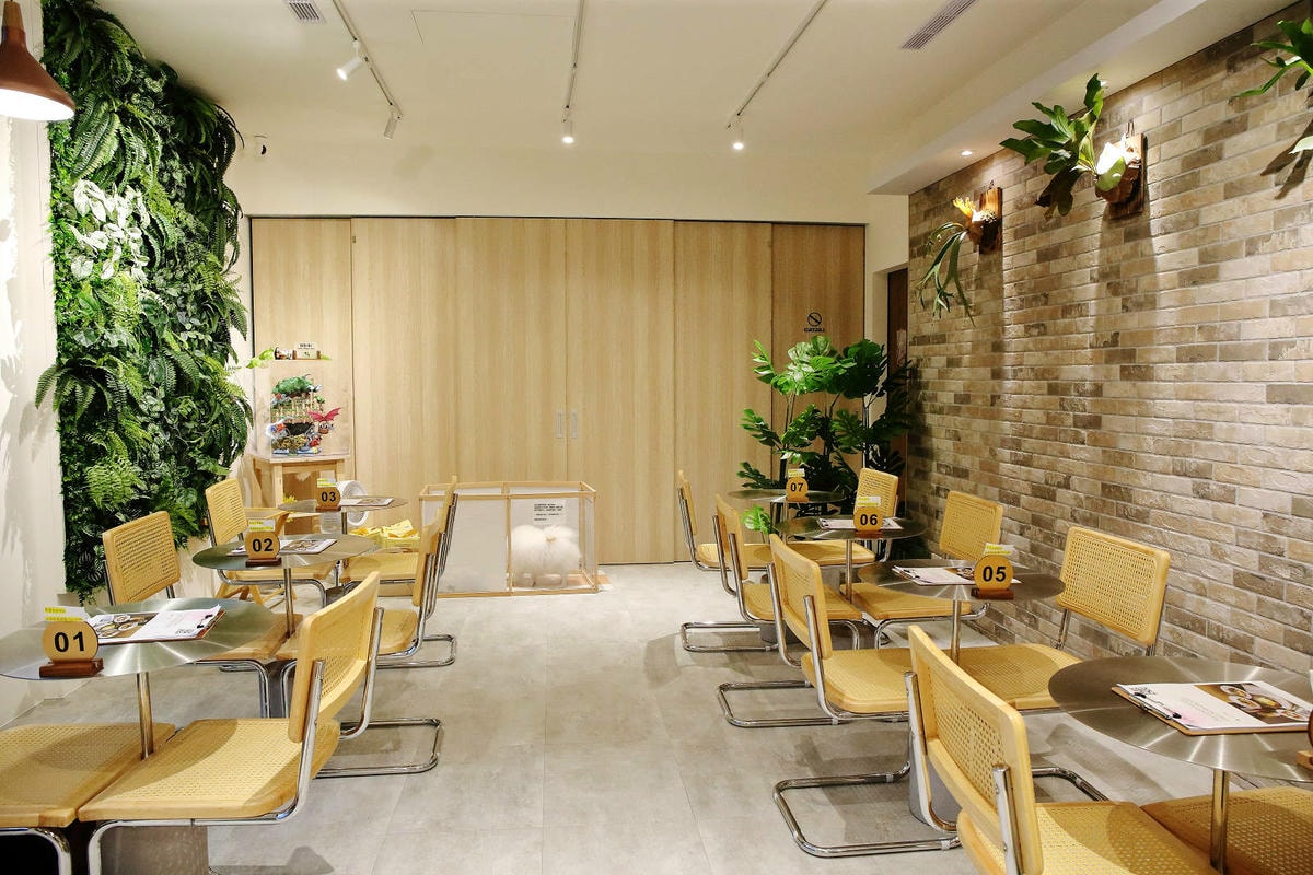 【新開幕】八德寵物友善餐廳推薦!三十好食,大湳森林公園附近, 【新開幕】八德寵物友善餐廳推薦!三十好食,大湳森林公園附近,