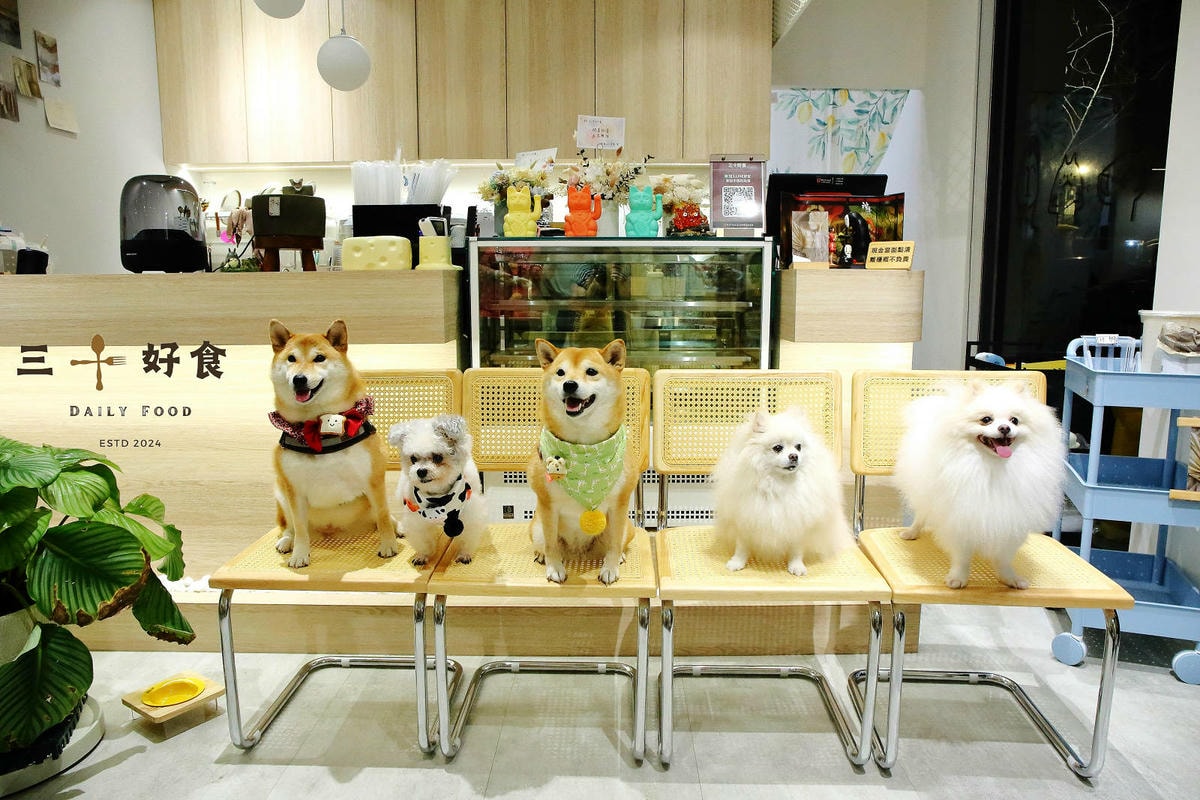 【新開幕】八德寵物友善餐廳推薦!三十好食,大湳森林公園附近, 【新開幕】八德寵物友善餐廳推薦!三十好食,大湳森林公園附近,