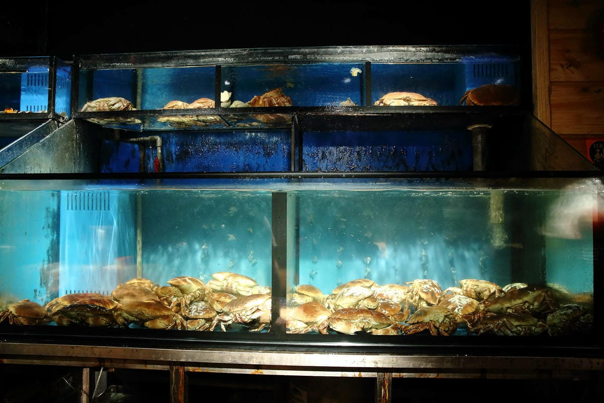 台北日式無菜單料理推薦，建一食堂八品精緻餐點，比臉大的爆卵麵