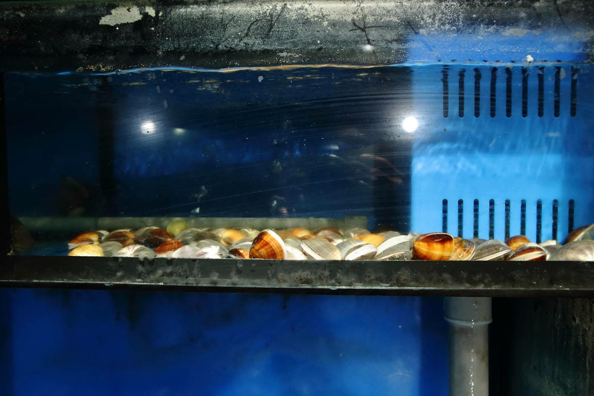 台北日式無菜單料理推薦，建一食堂八品精緻餐點，比臉大的爆卵麵