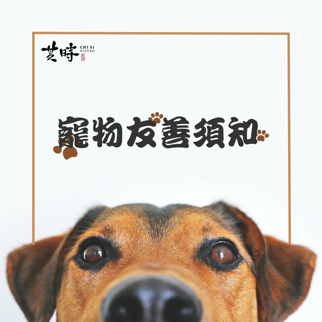 台北寵物友善餐廳|其時Bistro〜台北草地寵物餐廳,有專屬 台北寵物友善餐廳|其時Bistro〜台北草地寵物餐廳,有專屬