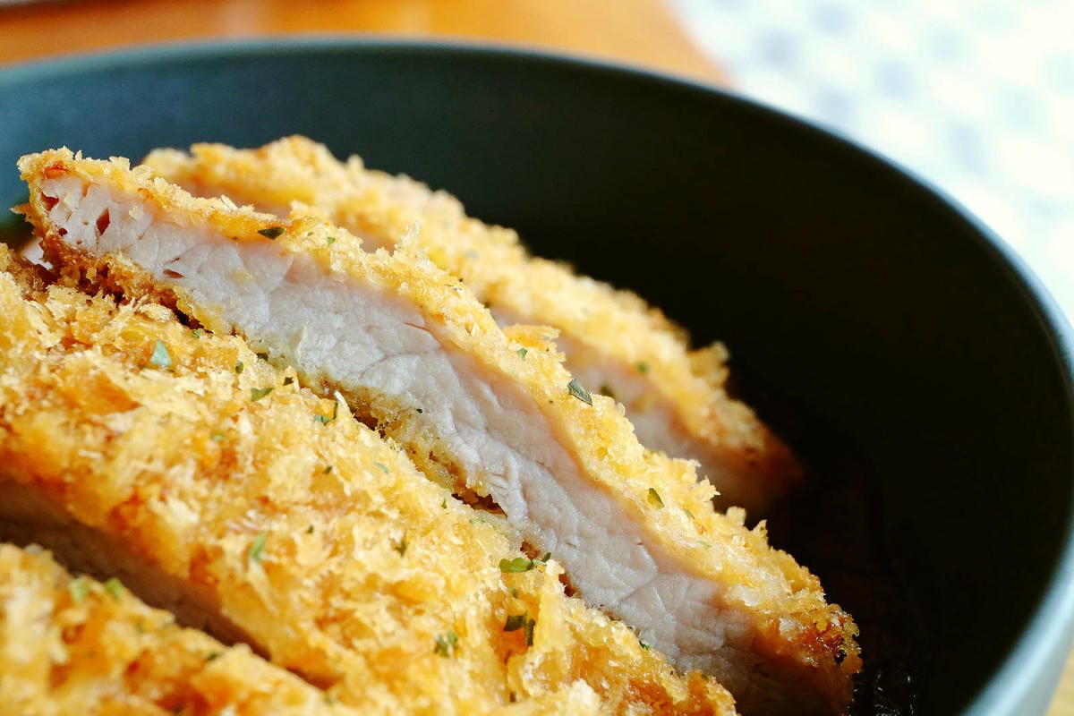 台北寵物友善餐廳|其時Bistro〜台北草地寵物餐廳,有專屬 台北寵物友善餐廳|其時Bistro〜台北草地寵物餐廳,有專屬