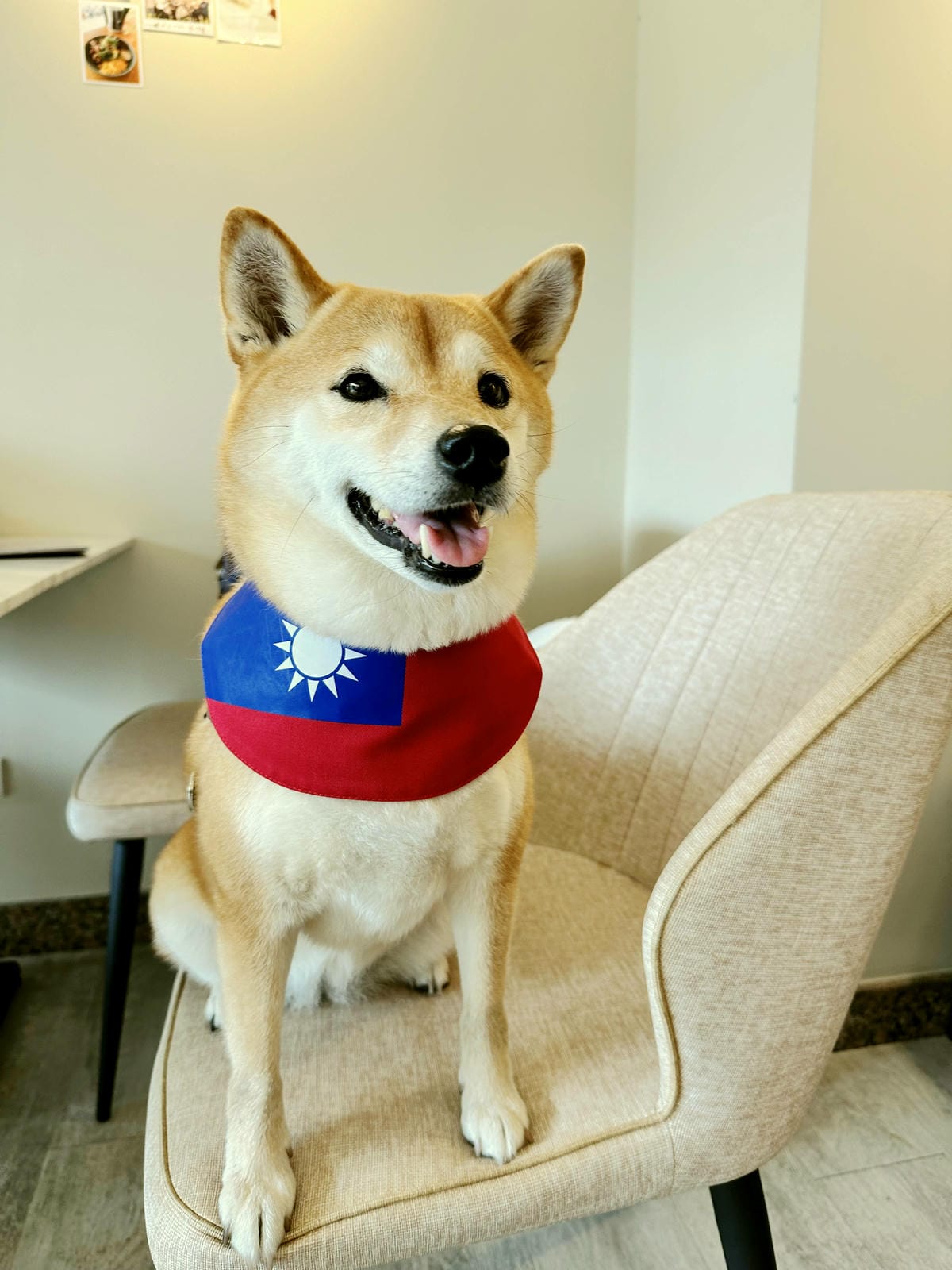 台北寵物友善餐廳|其時Bistro〜台北草地寵物餐廳,有專屬 台北寵物友善餐廳|其時Bistro〜台北草地寵物餐廳,有專屬