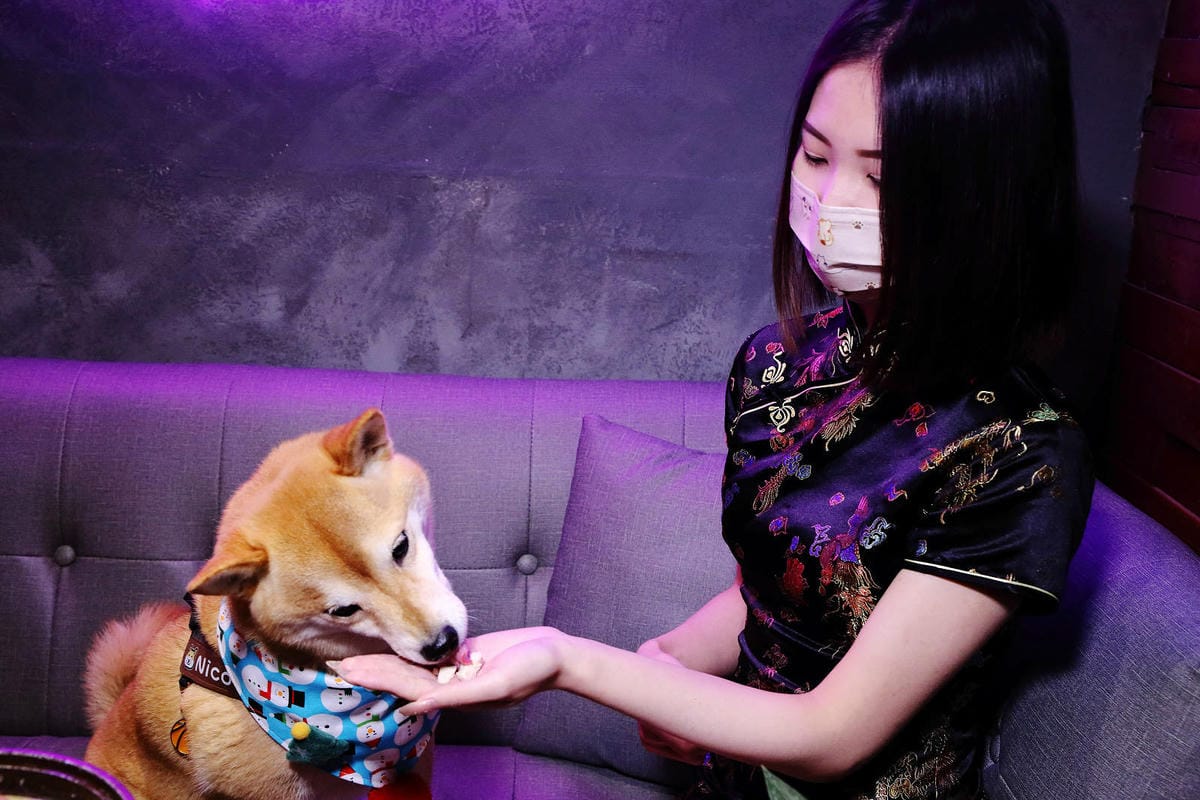 川御燒肉專門店，桃園寵物友善燒肉推薦！職人烤手為您打造美味燒