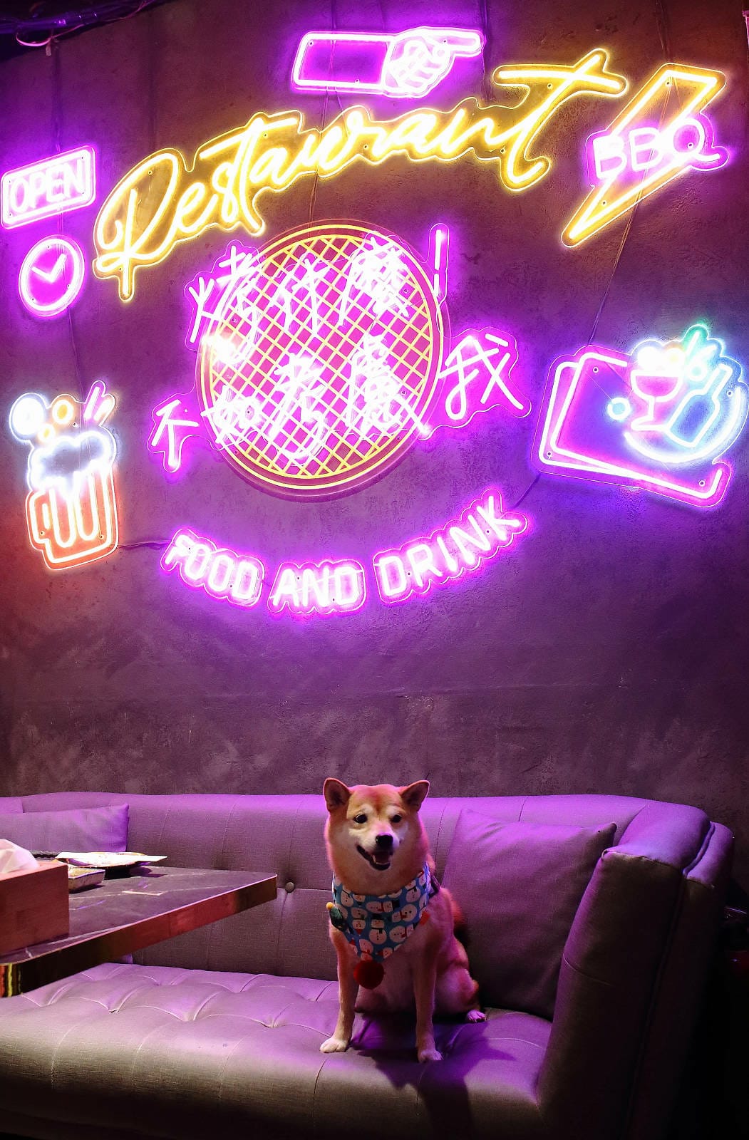 川御燒肉專門店，桃園寵物友善燒肉推薦！職人烤手為您打造美味燒