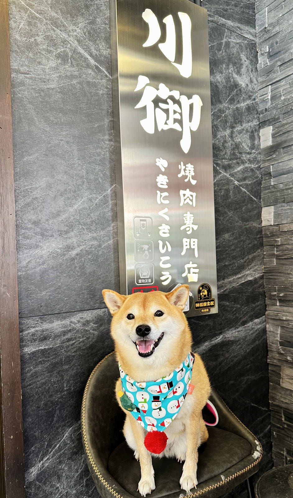 川御燒肉專門店，桃園寵物友善燒肉推薦！職人烤手為您打造美味燒