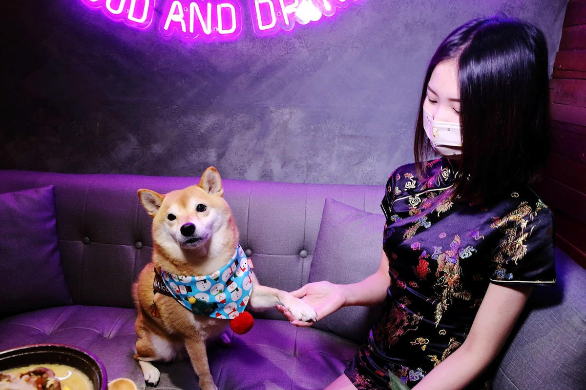 川御燒肉專門店，桃園寵物友善燒肉推薦！職人烤手為您打造美味燒