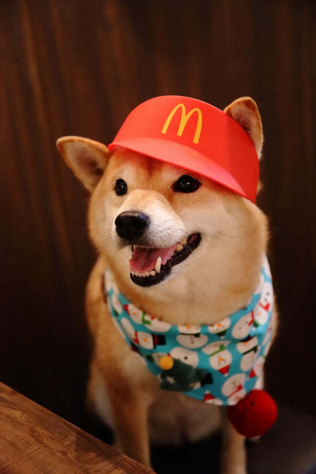 板橋隱藏版日式居酒屋，串岐日式居酒屋，低調隱身小巷弄，網推無