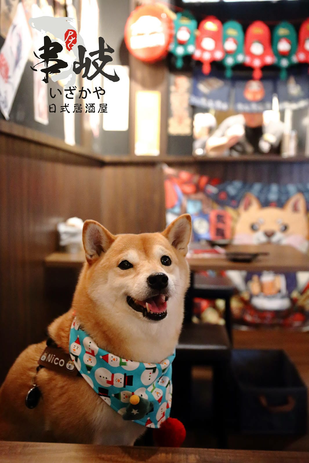 板橋隱藏版日式居酒屋，串岐日式居酒屋，低調隱身小巷弄，網推無