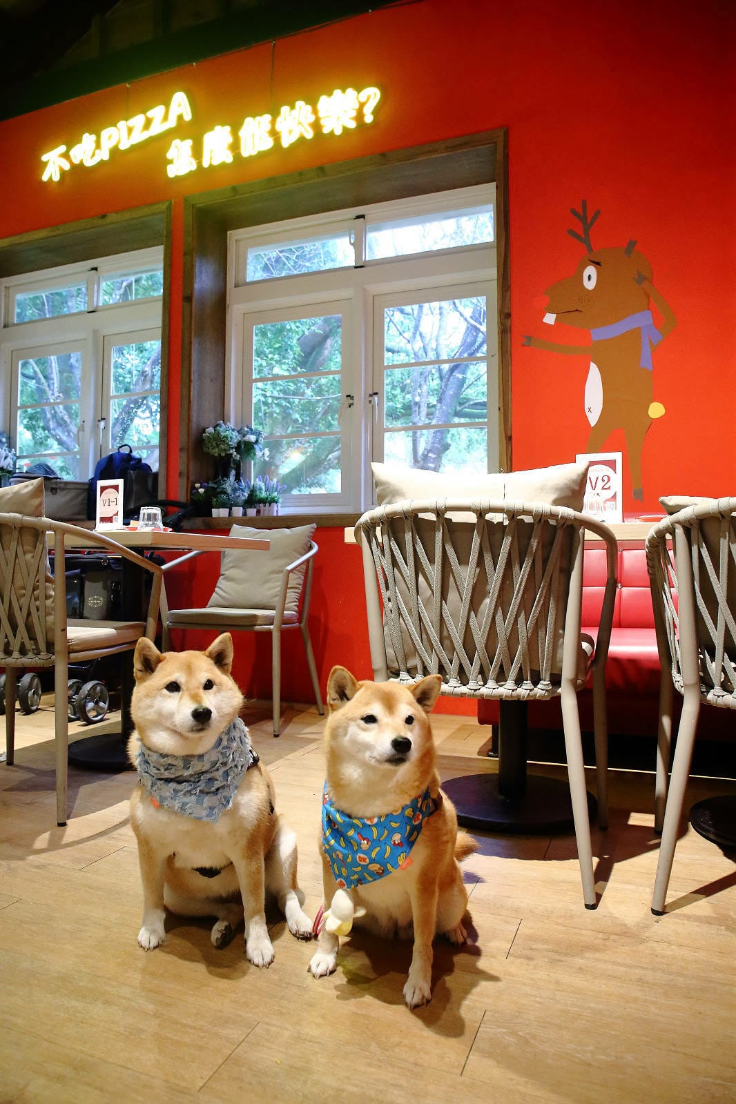 【陽明山美食推薦】阿緹卡Pizza專賣店，正宗羅馬方形披薩這