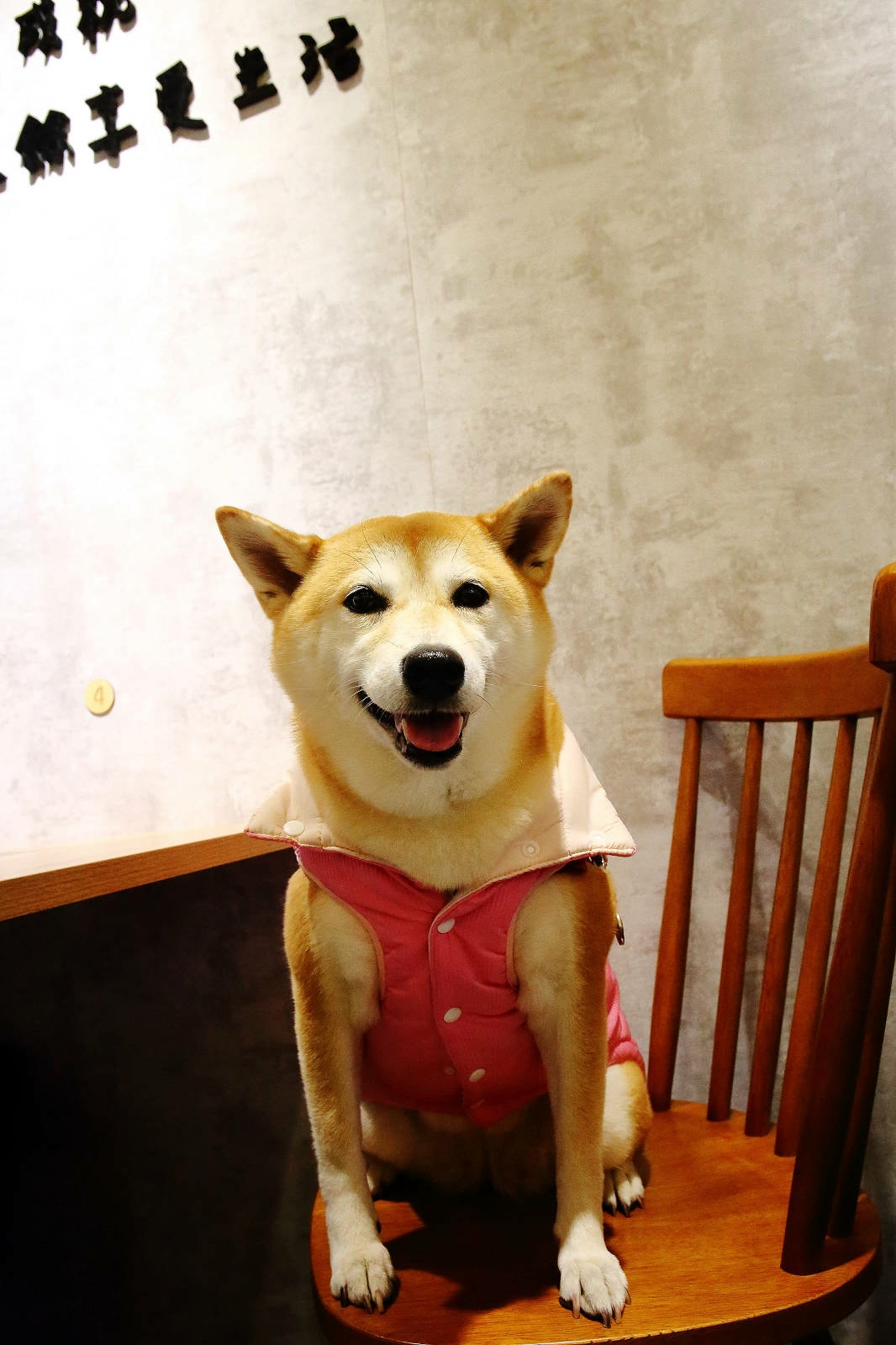 義大利麵「湯麵」專賣!!!全台唯一義大利湯麵連鎖來了,義匠義