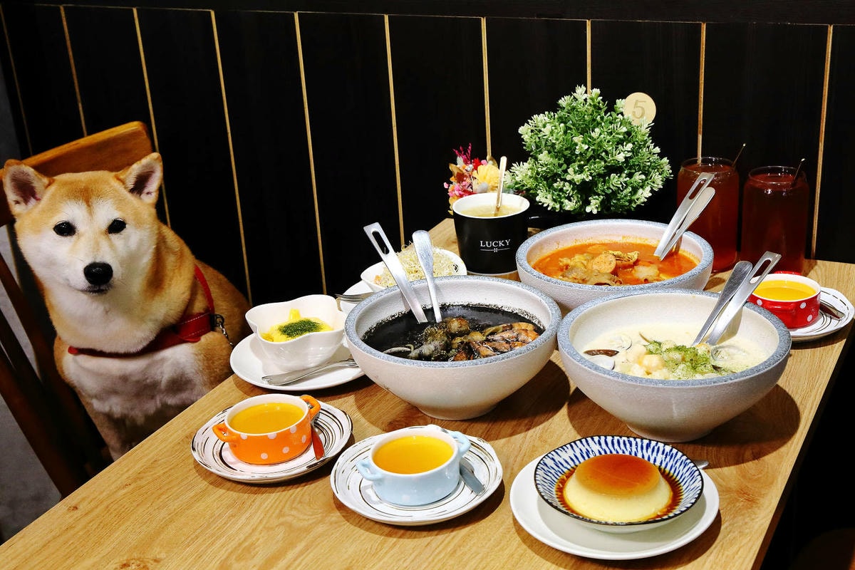 義大利麵「湯麵」專賣!!!全台唯一義大利湯麵連鎖來了,義匠義