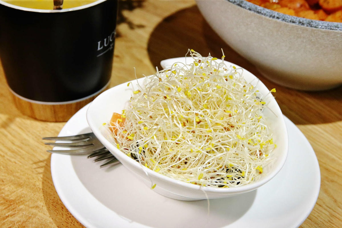 義大利麵「湯麵」專賣!!!全台唯一義大利湯麵連鎖來了,義匠義