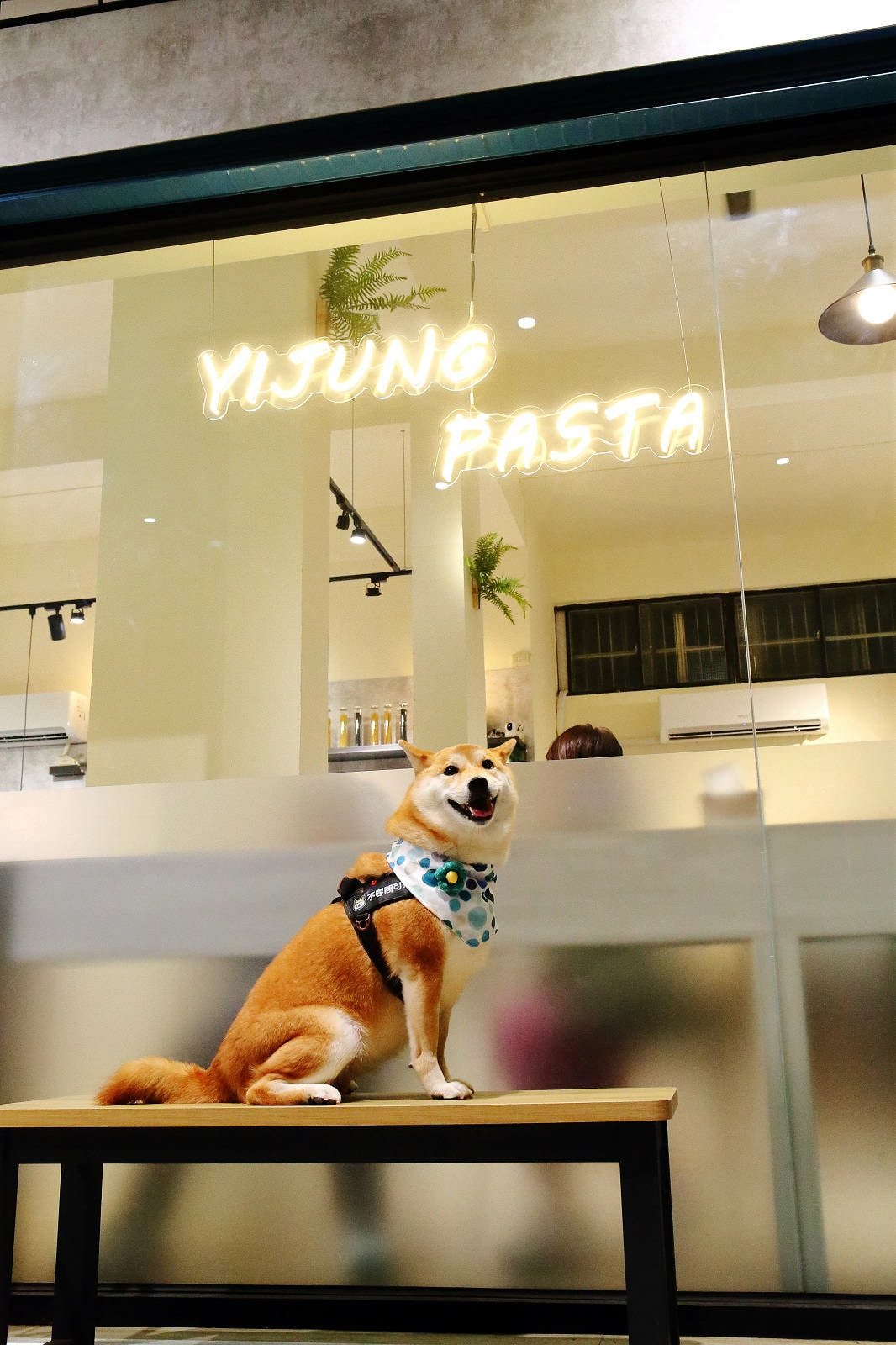 【幸福捷運站美食】新開幕!義匠義式湯麵-新莊昌明店,超級好吃 【幸福捷運站美食】新開幕!義匠義式湯麵-新莊昌明店,超級好吃