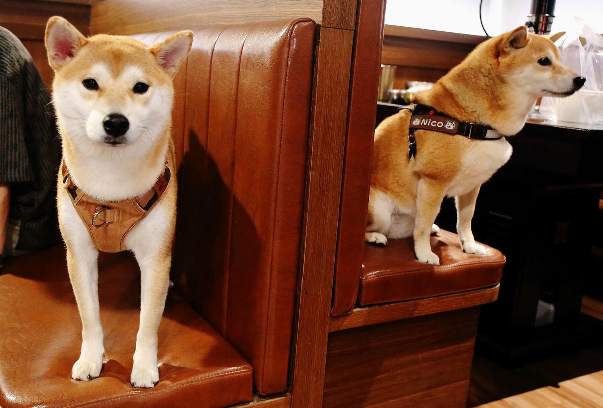 台中必訪!超夯特色燒肉店【燒肉滋滋】,韓式燒肉x韓式料理x韓