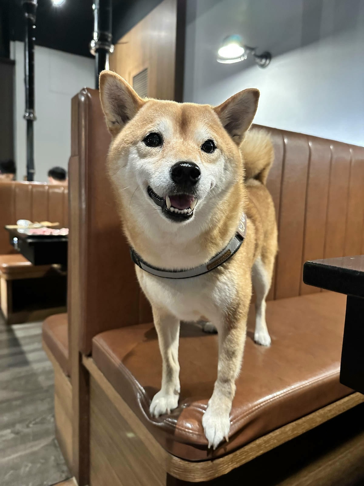 台中必訪!超夯特色燒肉店【燒肉滋滋】,韓式燒肉x韓式料理x韓