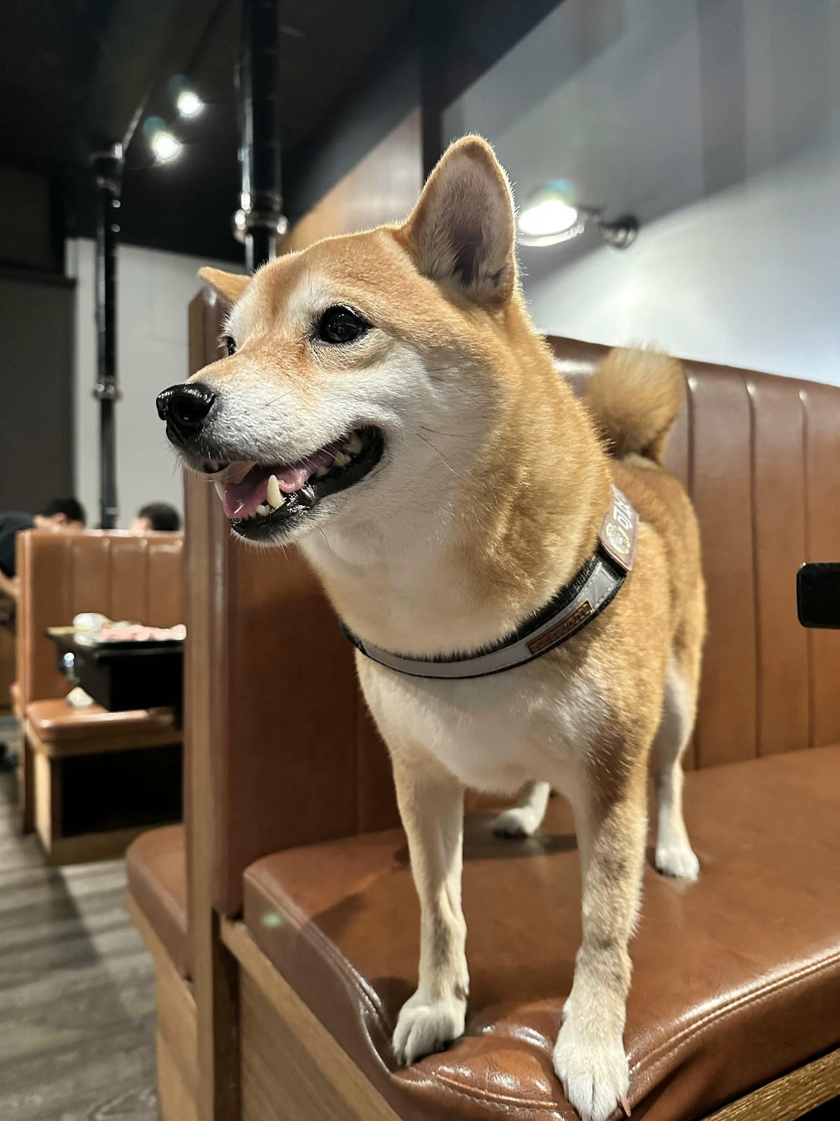 台中必訪!超夯特色燒肉店【燒肉滋滋】,韓式燒肉x韓式料理x韓