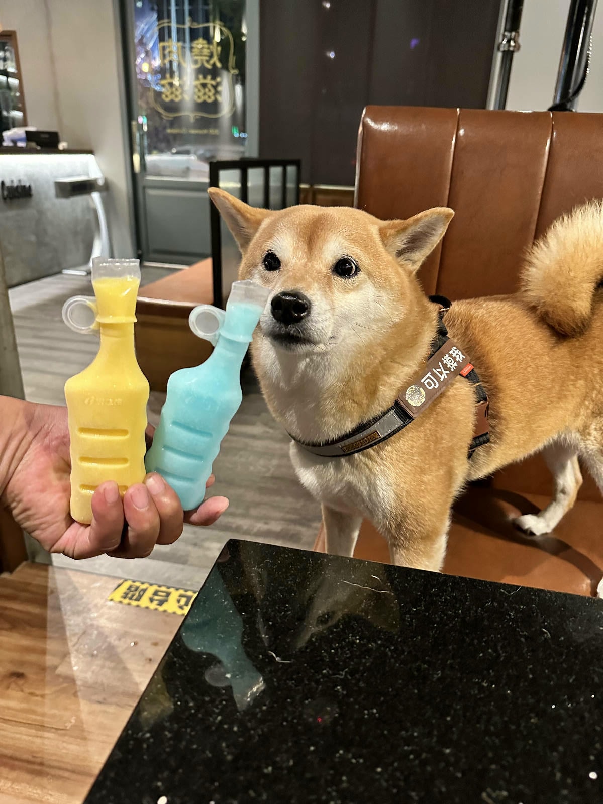 台中必訪!超夯特色燒肉店【燒肉滋滋】,韓式燒肉x韓式料理x韓