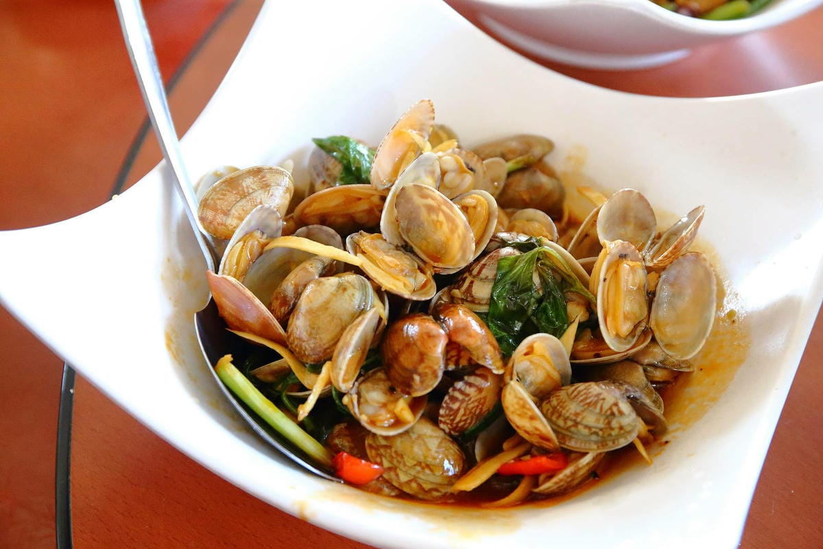 桃園薑母鴨推薦！大鋼盆薑母鴨有夠霸氣！熱炒、特色火鍋料也是必