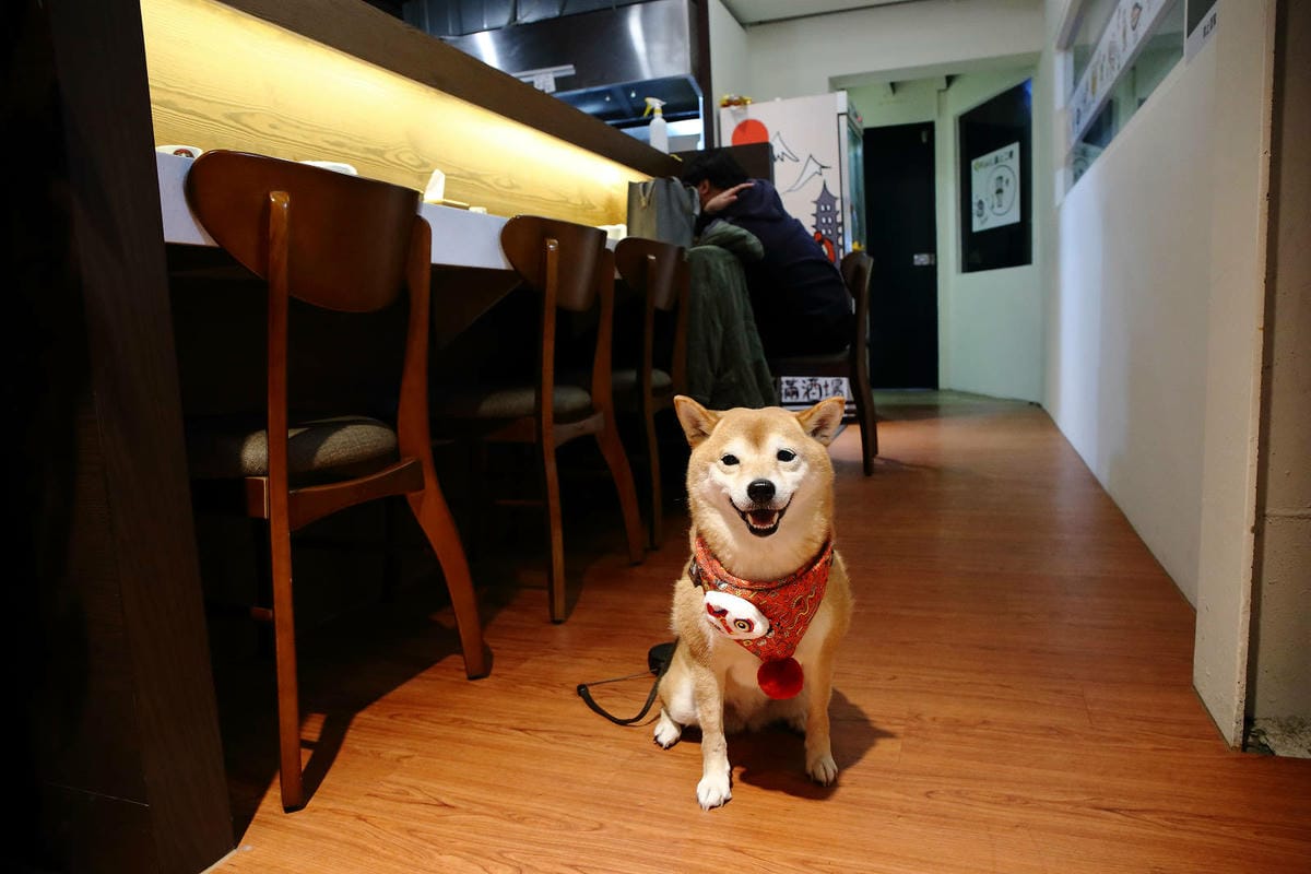 伙串滿酒場，中壢火車站旁串燒店，體驗道地串燒酒場文化，喝得痛