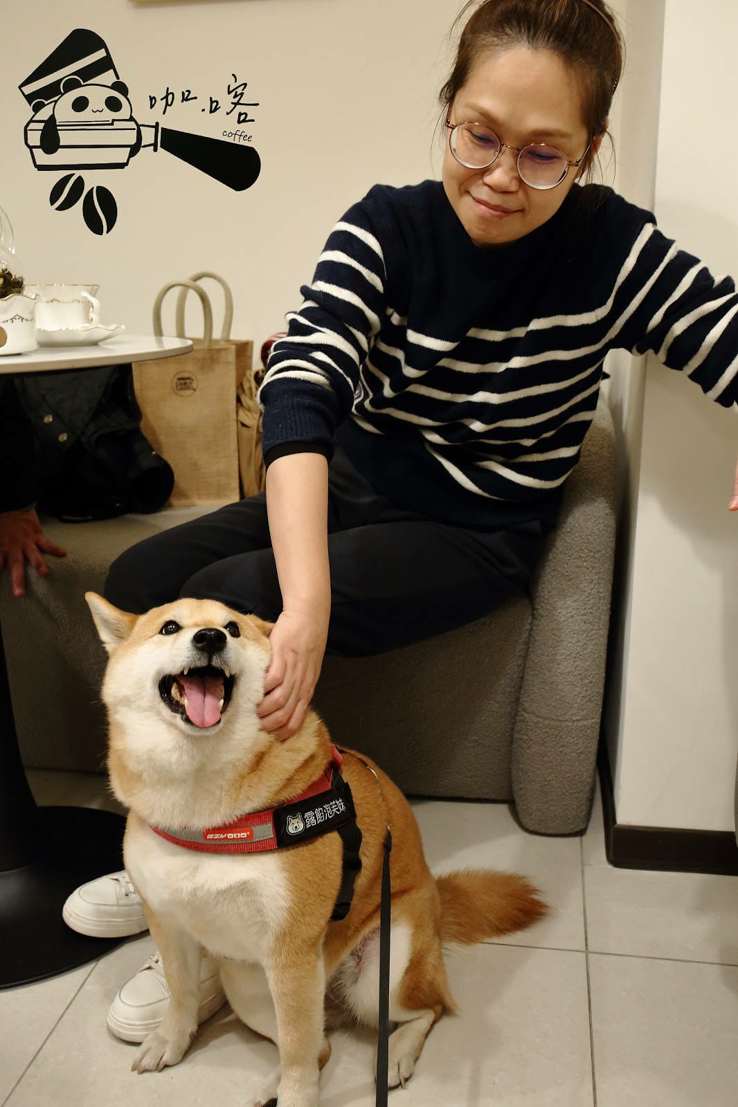 土城新開寵物友善咖啡廳，咖喀咖啡主打手作蛋糕甜點的咖啡廳，千