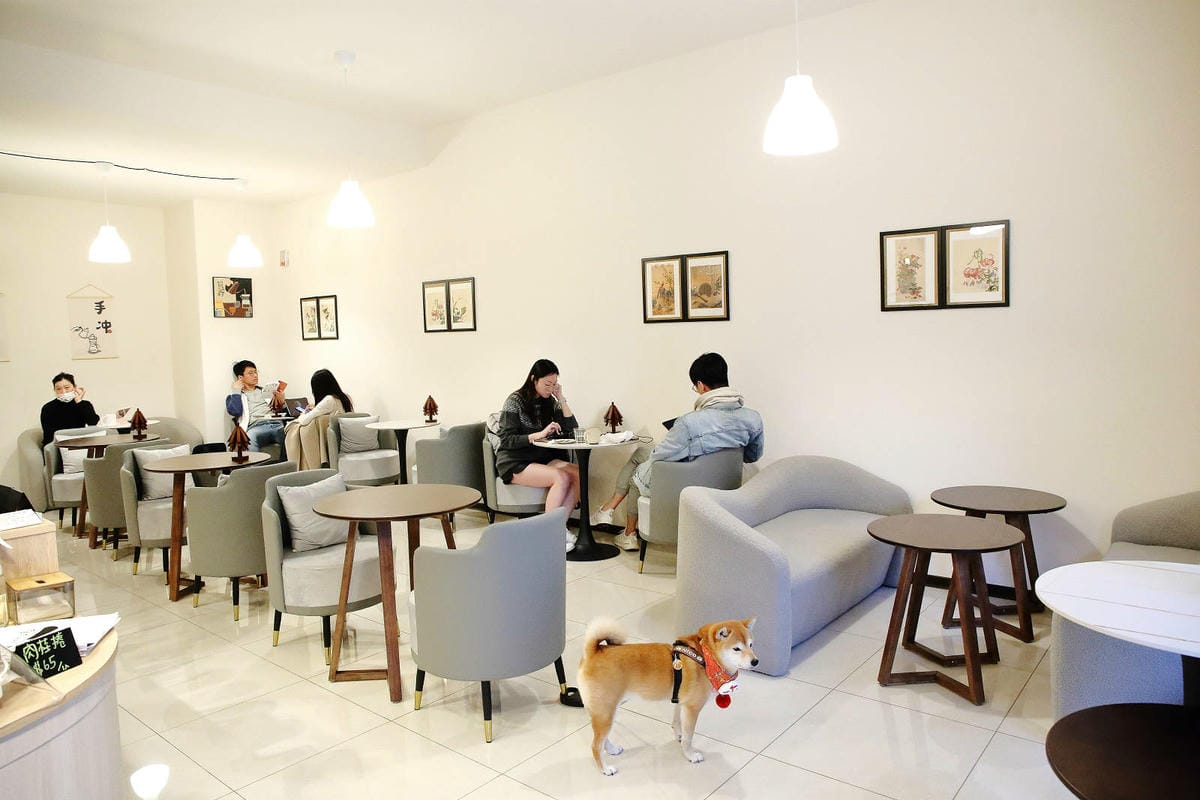 土城新開寵物友善咖啡廳，咖喀咖啡主打手作蛋糕甜點的咖啡廳，千