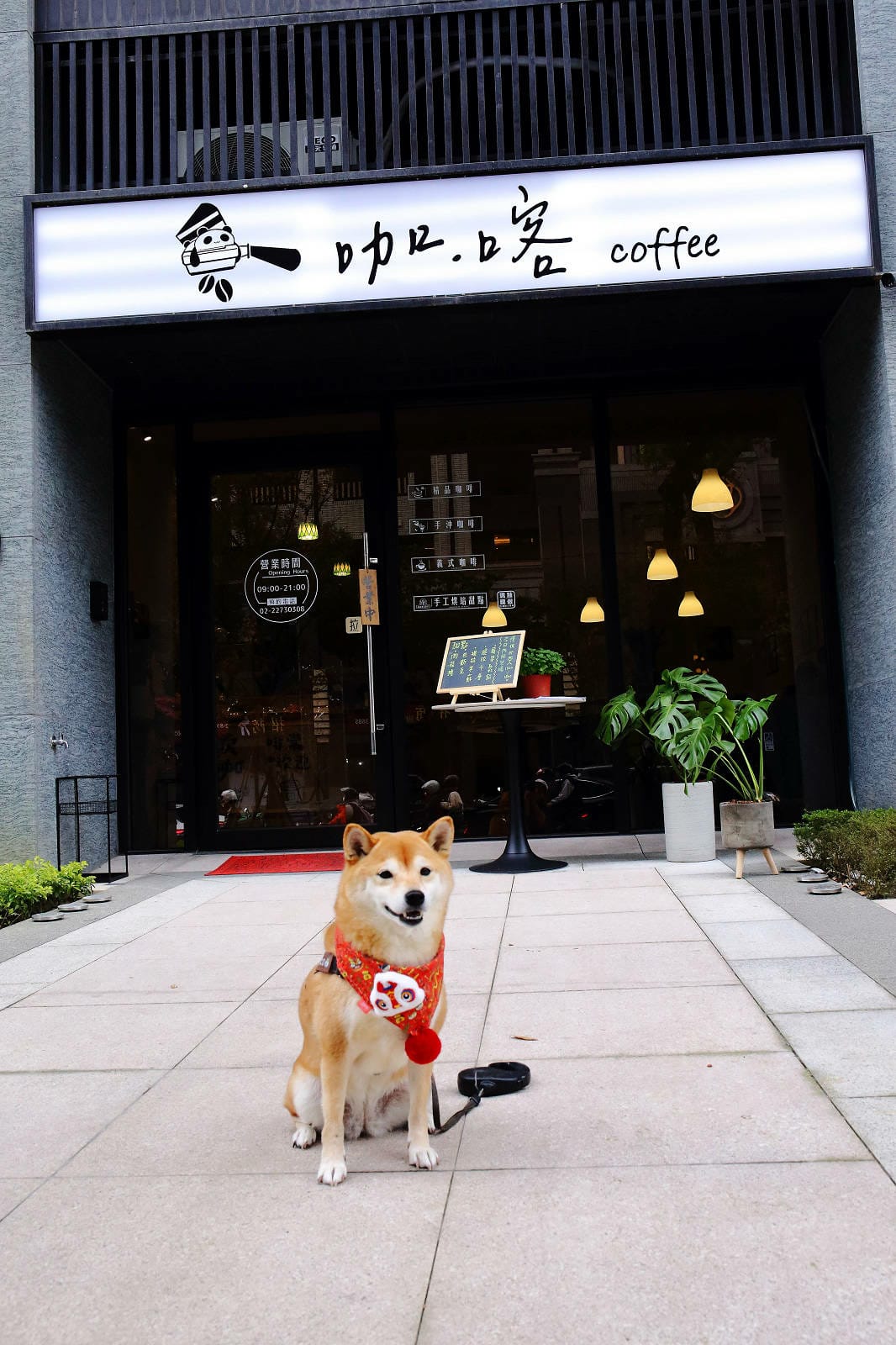 土城新開寵物友善咖啡廳，咖喀咖啡主打手作蛋糕甜點的咖啡廳，千
