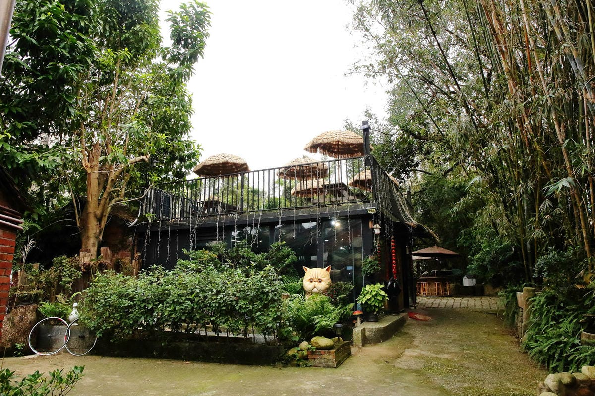 游家肥貓，大溪友善寵物老宅茶餐廳，提供港式私房料理，老闆本身