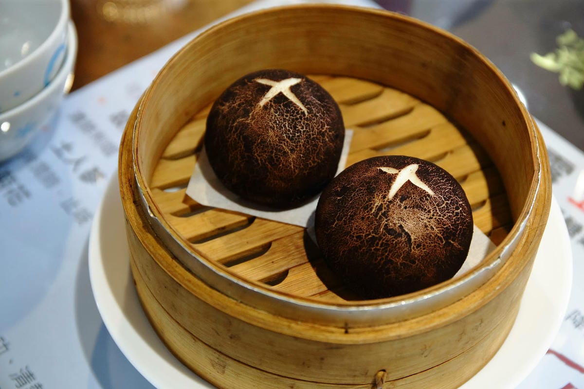 游家肥貓，大溪友善寵物老宅茶餐廳，提供港式私房料理，老闆本身