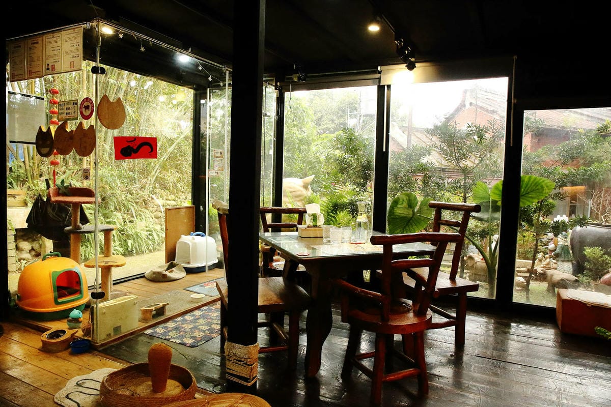 游家肥貓，大溪友善寵物老宅茶餐廳，提供港式私房料理，老闆本身