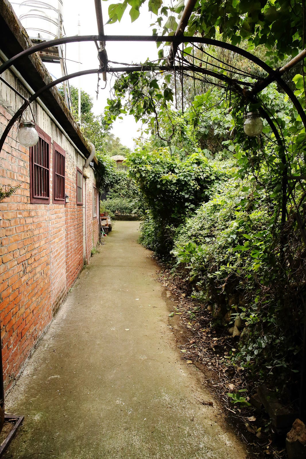 游家肥貓，大溪友善寵物老宅茶餐廳，提供港式私房料理，老闆本身