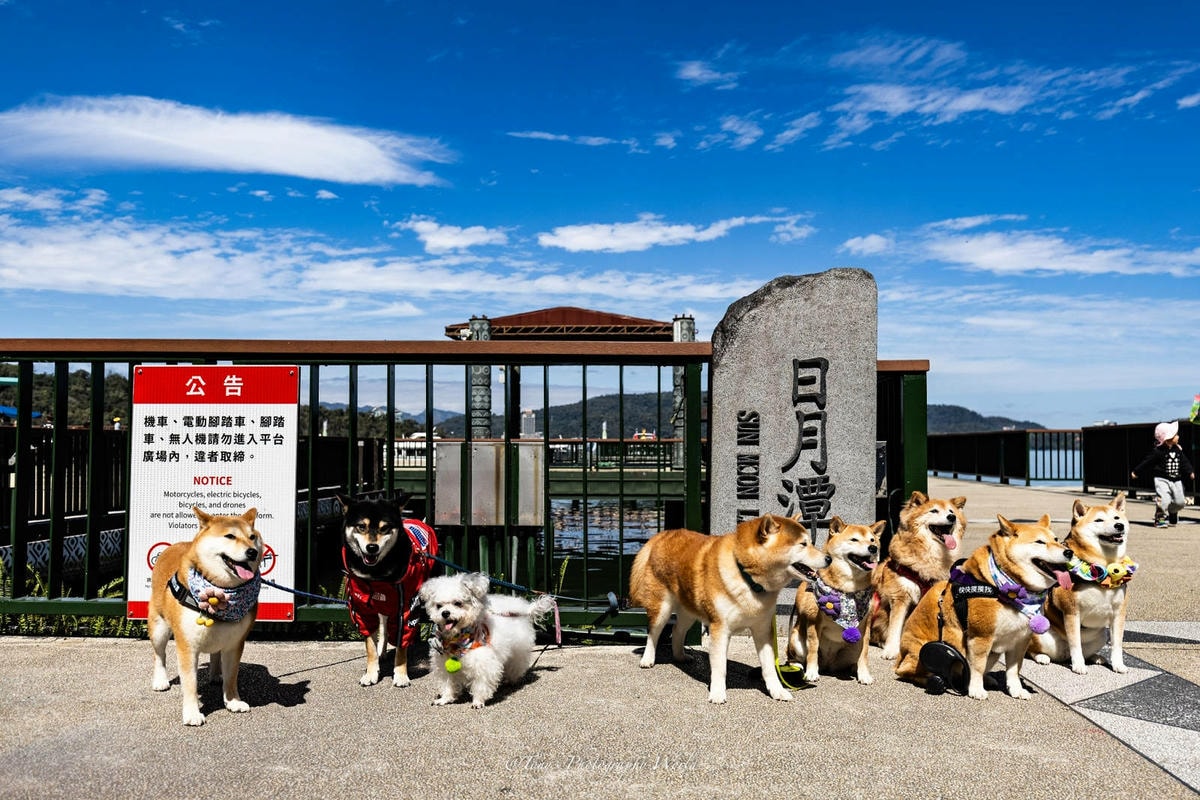 LINE_ALBUM_20250228-0301@南投日月潭(阿北)_250302_47.jpg LINE_ALBUM_20250228-0301@南投日月潭(阿北)_250302_47.jpg