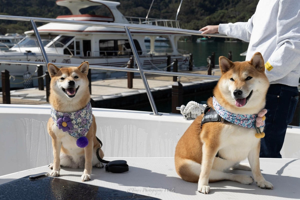 LINE_ALBUM_20250228-0301@南投日月潭(阿北)_250302_19.jpg LINE_ALBUM_20250228-0301@南投日月潭(阿北)_250302_19.jpg