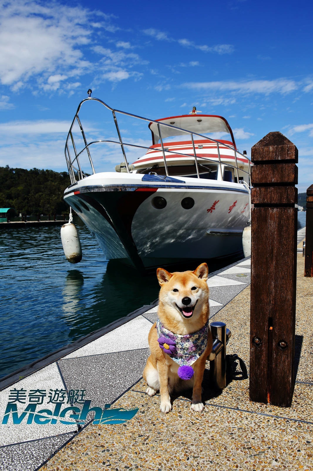 南投寵物友善景點,日月潭包船遊湖推薦-日月潭創意家美奇豪華遊 南投寵物友善景點,日月潭包船遊湖推薦-日月潭創意家美奇豪華遊