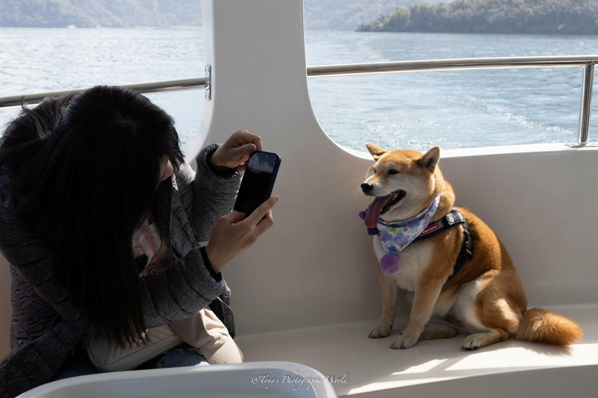 LINE_ALBUM_20250228-0301@南投日月潭(阿北)_250302_24.jpg LINE_ALBUM_20250228-0301@南投日月潭(阿北)_250302_24.jpg