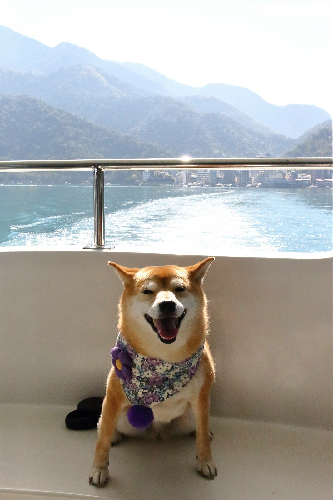 南投寵物友善景點,日月潭包船遊湖推薦-日月潭創意家美奇豪華遊 南投寵物友善景點,日月潭包船遊湖推薦-日月潭創意家美奇豪華遊