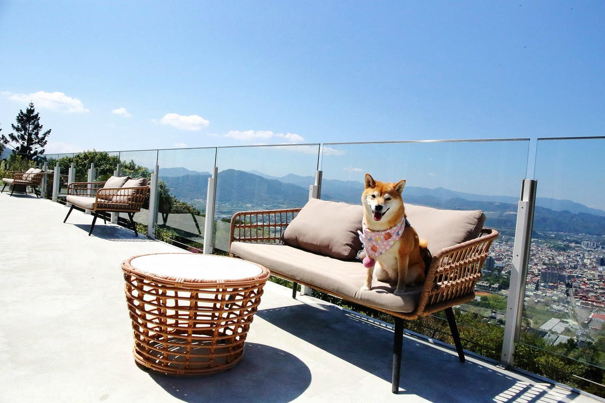 南投埔里超推薦景觀餐廳!虎嘯山嵐-厲害玻璃屋咖啡廳,山景第一