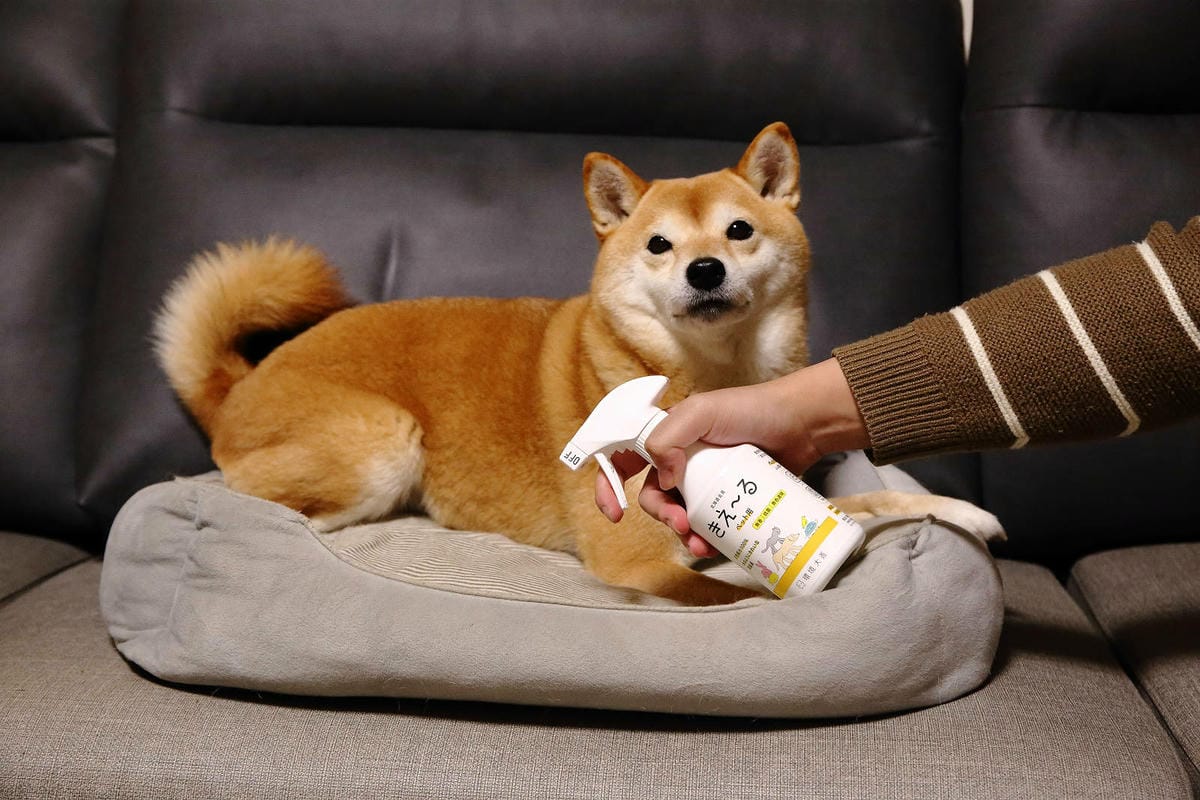 亞企食材購物網-環境大善寵物專用除臭噴霧,100%天然成分, 亞企食材購物網-環境大善寵物專用除臭噴霧,100%天然成分,