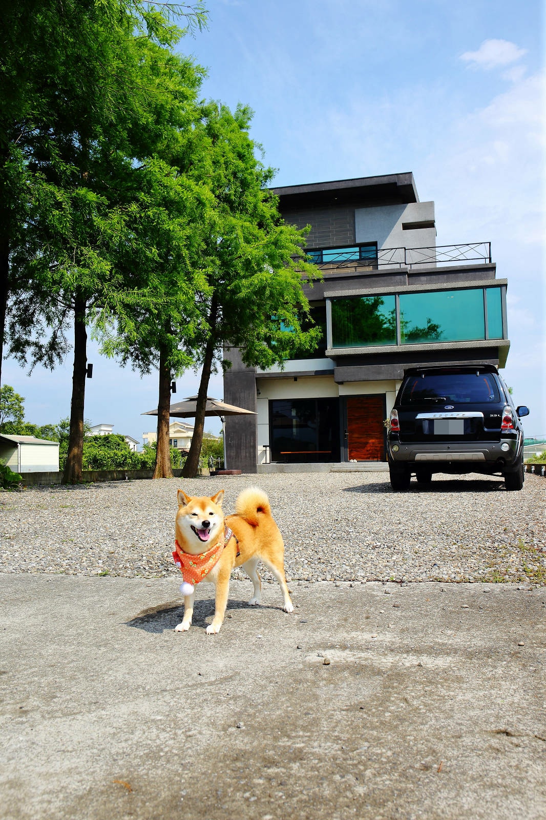 【宜蘭民宿推薦】享佇民宿,10-16人包棟,一次只接待一組旅