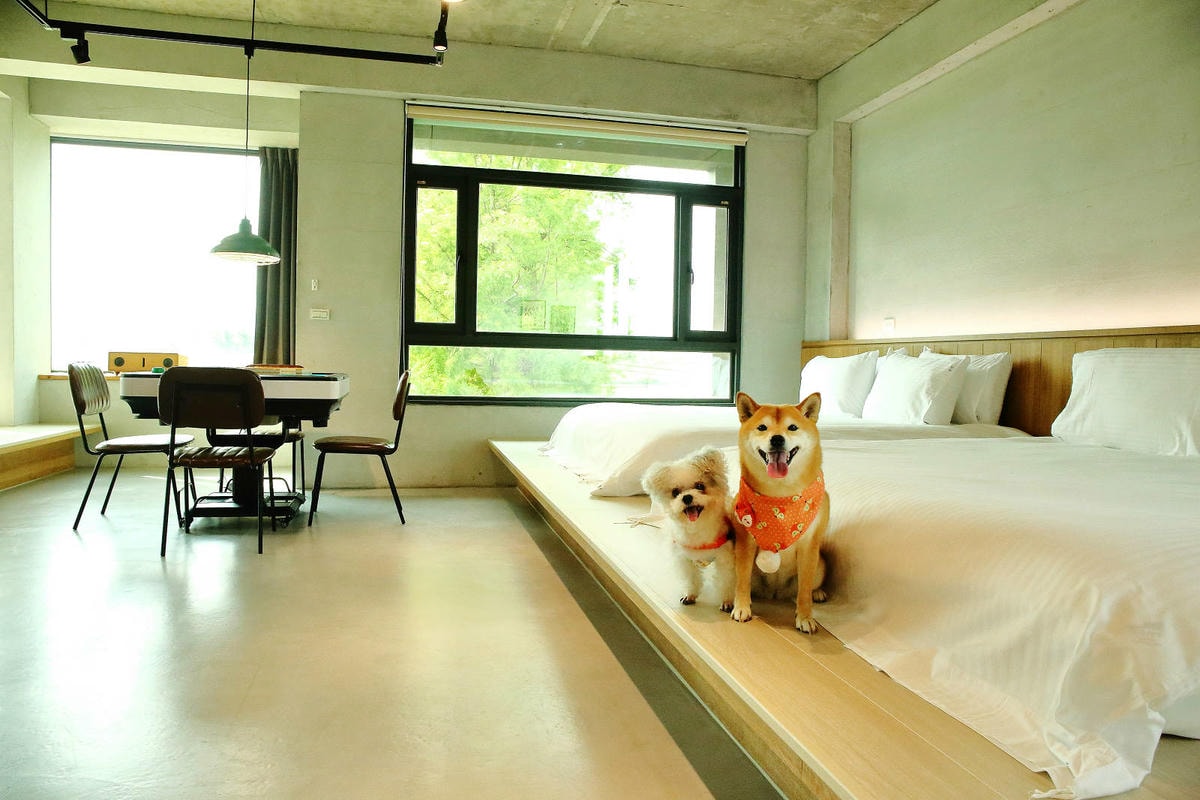 【宜蘭民宿推薦】享佇民宿,10-16人包棟,一次只接待一組旅