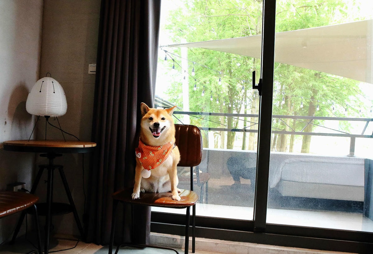 【宜蘭民宿推薦】享佇民宿,10-16人包棟,一次只接待一組旅