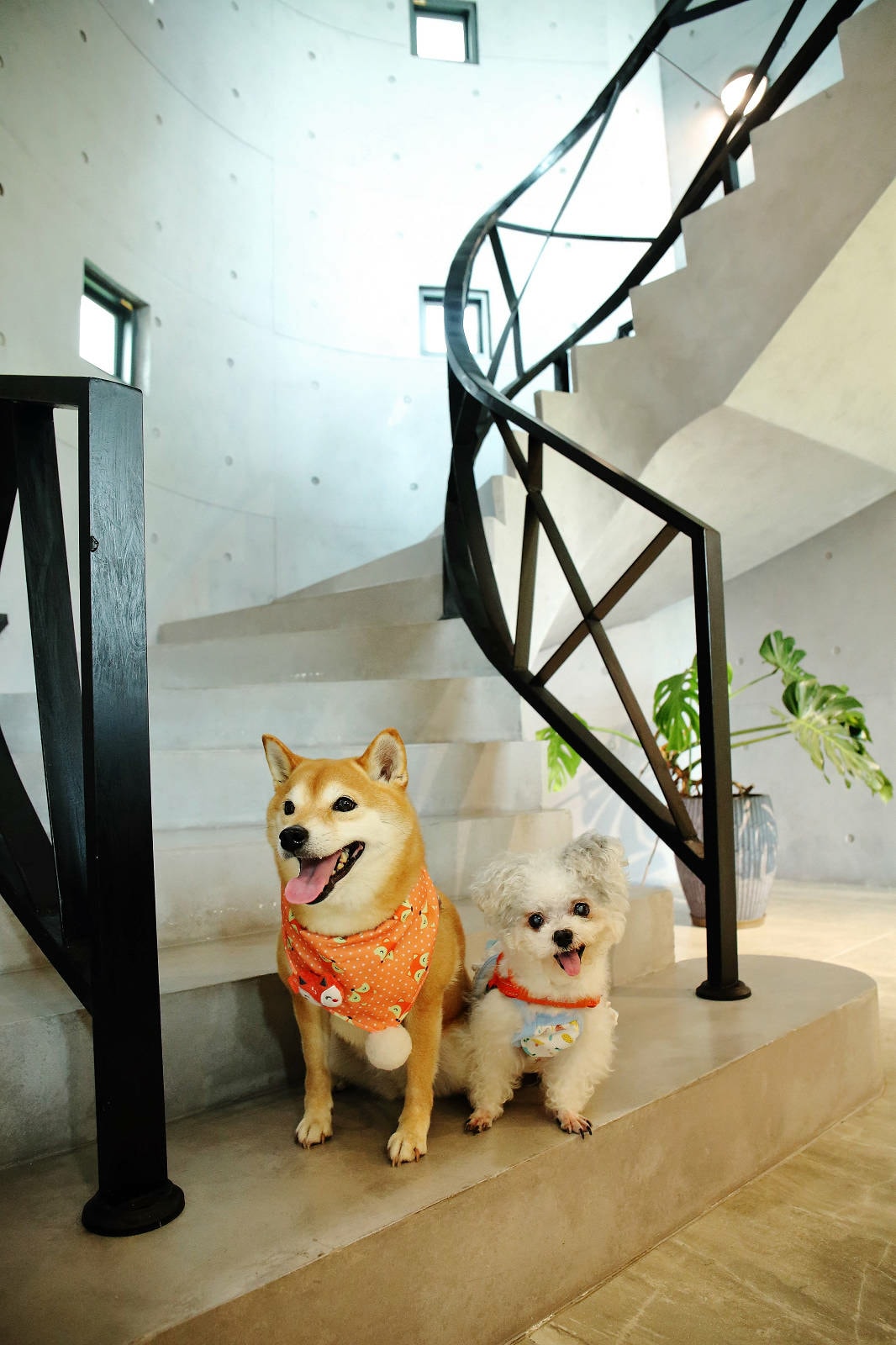 【宜蘭民宿推薦】享佇民宿,10-16人包棟,一次只接待一組旅