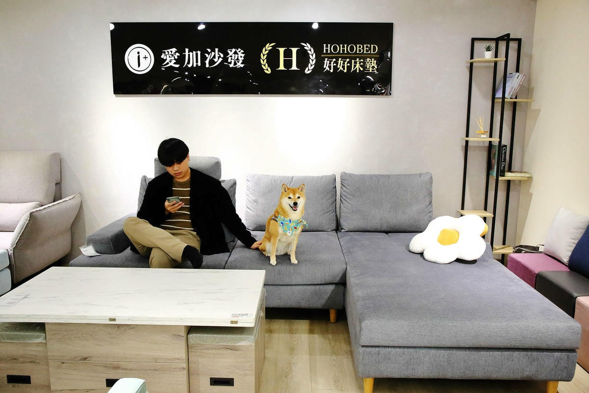 台北沙發推薦!愛加沙發總工廠,不踩雷沙發工廠就在這,台灣在地
