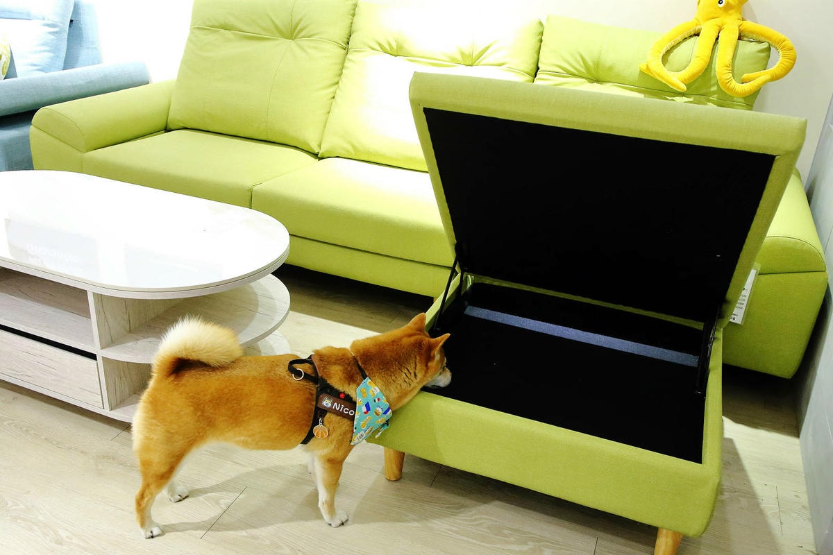 台北沙發推薦!愛加沙發總工廠,不踩雷沙發工廠就在這,台灣在地