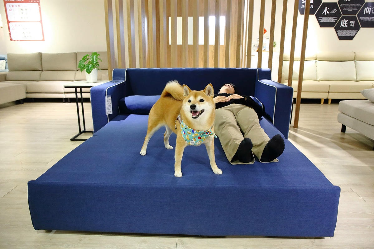 台北沙發推薦!愛加沙發總工廠,不踩雷沙發工廠就在這,台灣在地