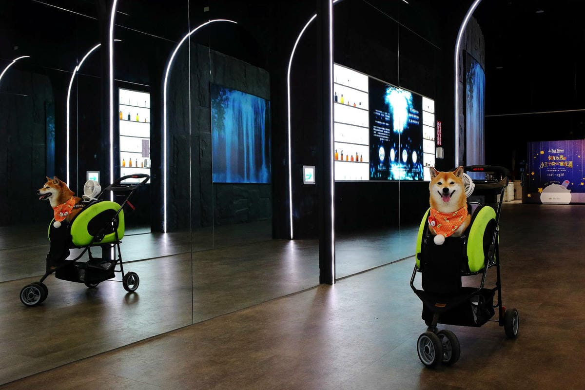 2025嘉義網美景點推薦！蓋婭莊園x康倪時代美學生技園區，全